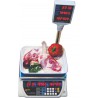 CANTAR PARTNER SERIA DUPL-P 3-6-15-30 KG